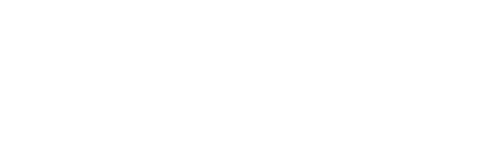 Team Ireland logo 
